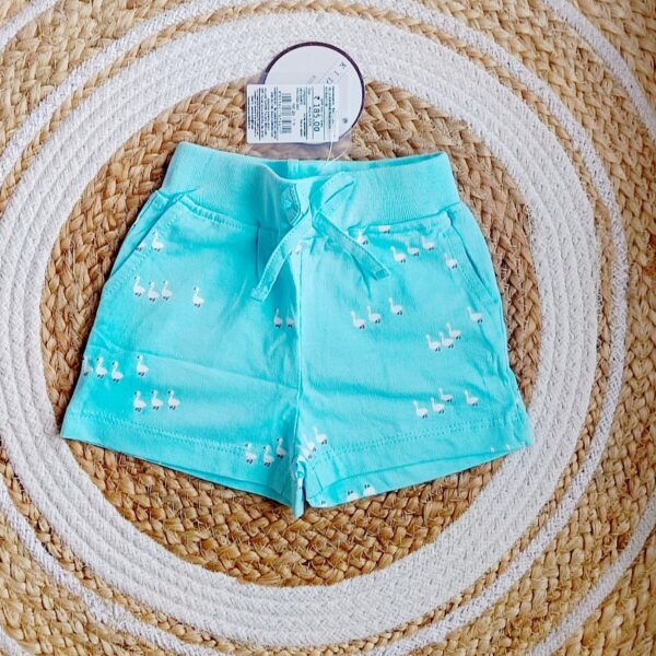 Shorts – Light Blue