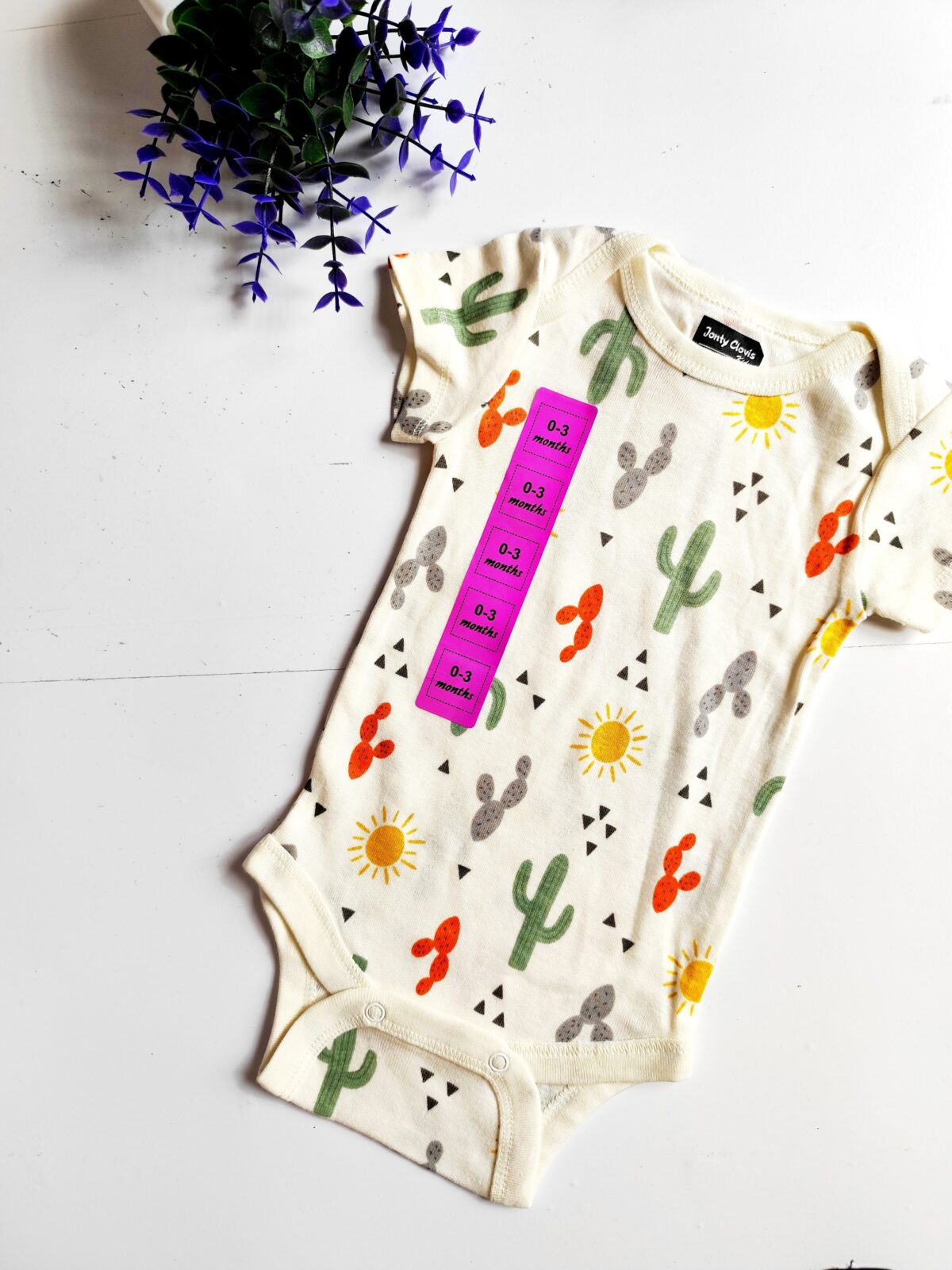 Onesies (0-3) - Cactus Print