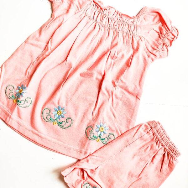 Girls Floral Embroidered Top & Bottom Set (12 – 18 Months)
