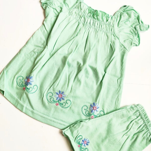 Girls Floral Embroidered Top & Bottom Set (12 – 18 Months)