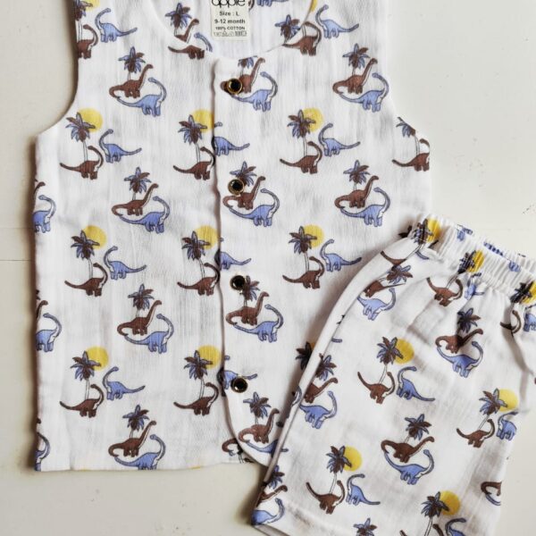 Dino Print Double Layered Muslin Co Ord Set